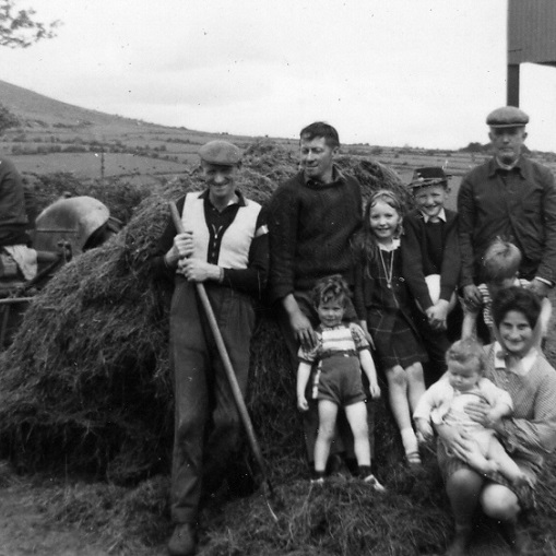 Glen South Farm Gallery