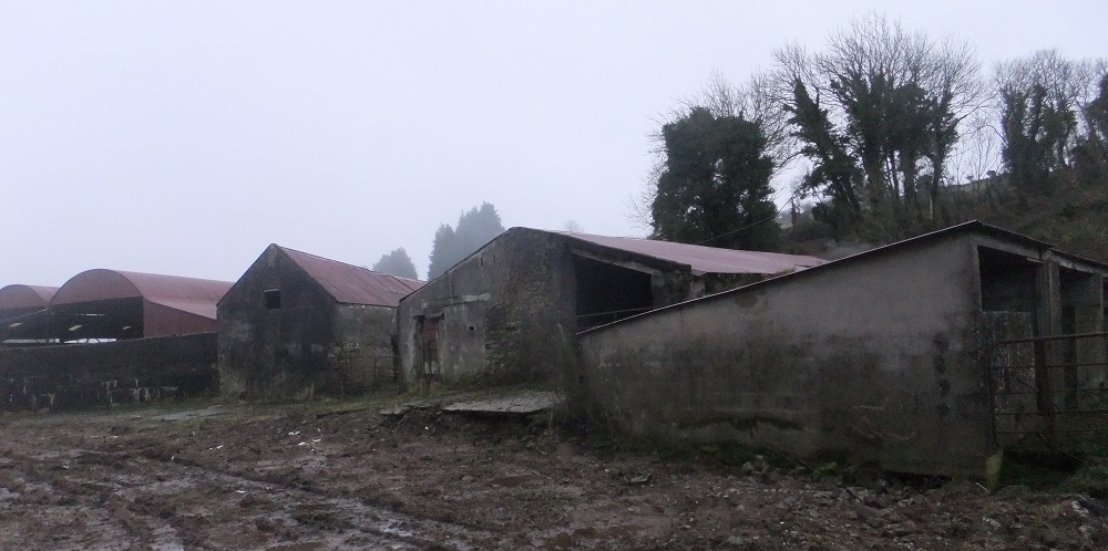 Glen South Farm Gallery