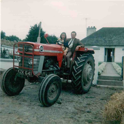 Glen South Farm Gallery